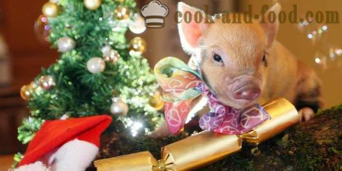 Jednostavni recepti za Novu godinu 2019- što kuhati za Novu godinu 2019 Godina svinje (svinja)