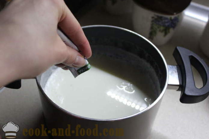 Domaći jogurt od mlijeka da fermentira - kako napraviti jogurt kod kuće, korak po korak recept fotografijama