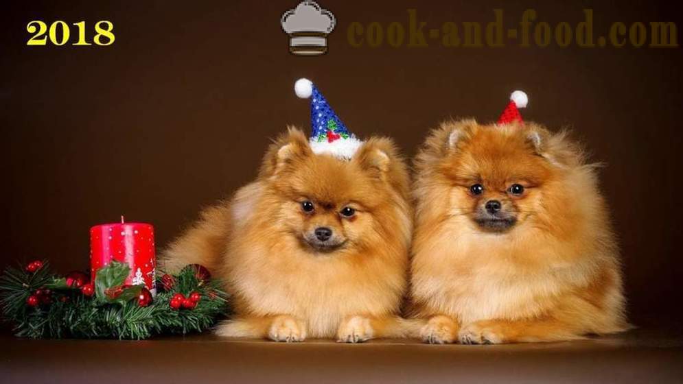 Besplatno Božić Pozadina 2018 psi, psi i štenci - download pozadine na radnoj površini za besplatno