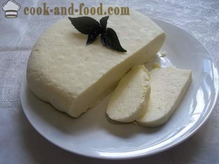 Sir sir od mlijeka kuće - kako napraviti sir kod kuće, korak po korak recept fotografijama