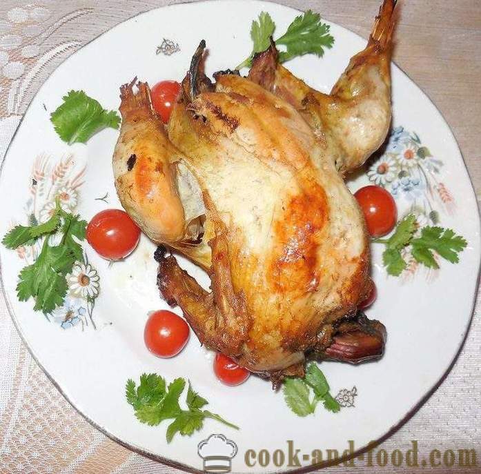 Divlji fazan pečena u peći - kao ukusna kuhati fazana u kući, recept sa slikom