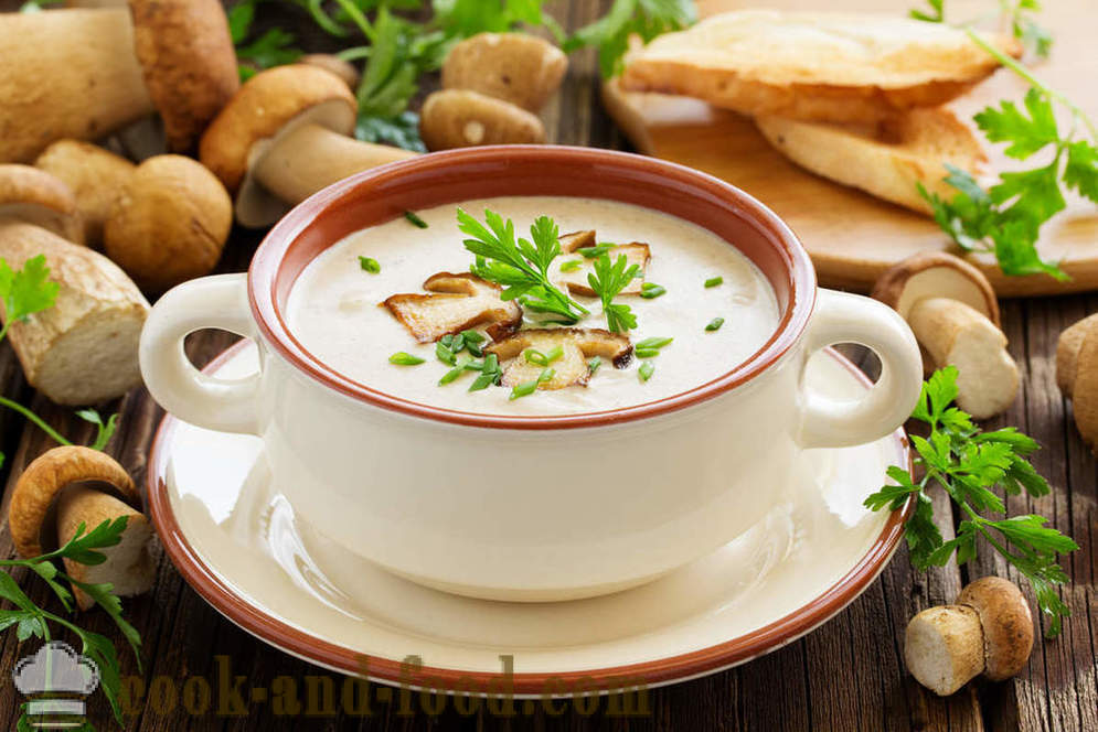 Bijela juha od gljiva: dvije recepte ukusnih jela