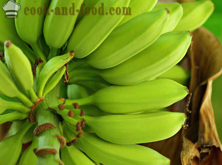 Banana: afrički i azijski desert juha - Video recepti kod kuće
